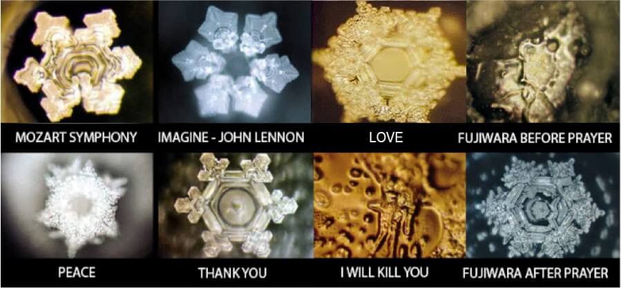 Examples of Massaru Emoto's Work